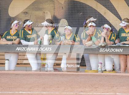 Thumbnail 1 in Canyon del Oro vs Salpointe Catholic (AIA 4A Final) photogallery.