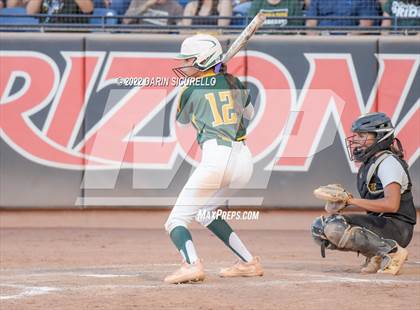 Thumbnail 1 in Canyon del Oro vs Salpointe Catholic (AIA 4A Final) photogallery.