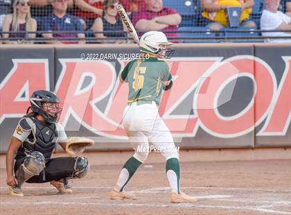 Thumbnail 3 in Canyon del Oro vs Salpointe Catholic (AIA 4A Final) photogallery.