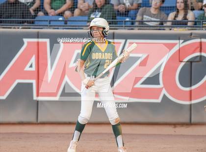 Thumbnail 2 in Canyon del Oro vs Salpointe Catholic (AIA 4A Final) photogallery.