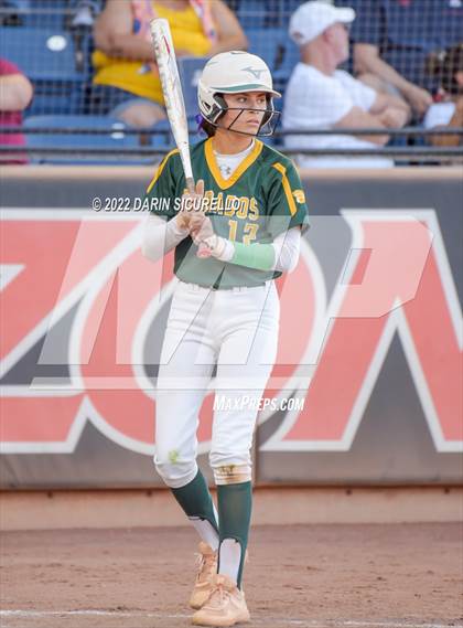 Thumbnail 2 in Canyon del Oro vs Salpointe Catholic (AIA 4A Final) photogallery.