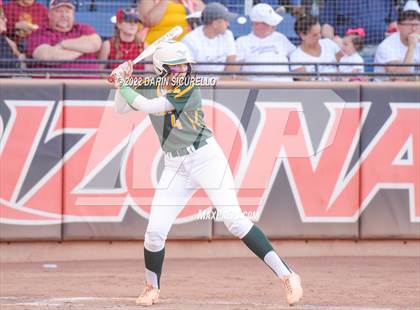 Thumbnail 3 in Canyon del Oro vs Salpointe Catholic (AIA 4A Final) photogallery.