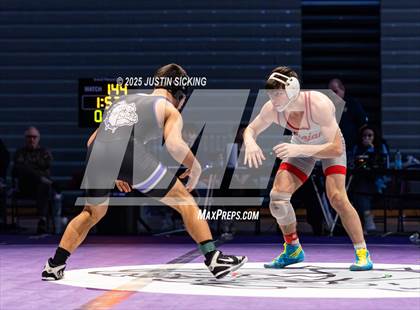 Thumbnail 1 in Brownsburg vs. Center Grove (IHSWCA 4A Final) photogallery.