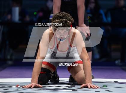 Thumbnail 3 in Brownsburg vs. Center Grove (IHSWCA 4A Final) photogallery.