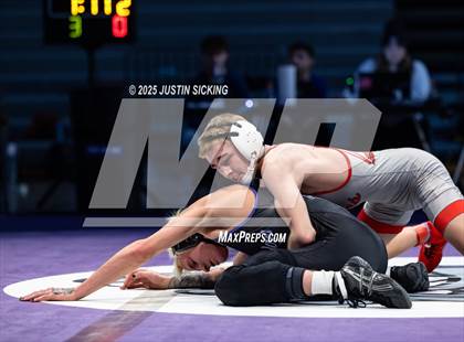 Thumbnail 3 in Brownsburg vs. Center Grove (IHSWCA 4A Final) photogallery.