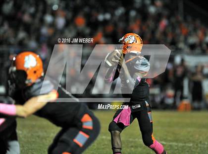 Thumbnail 1 in Wesley Chapel @ Zephyrhills photogallery.