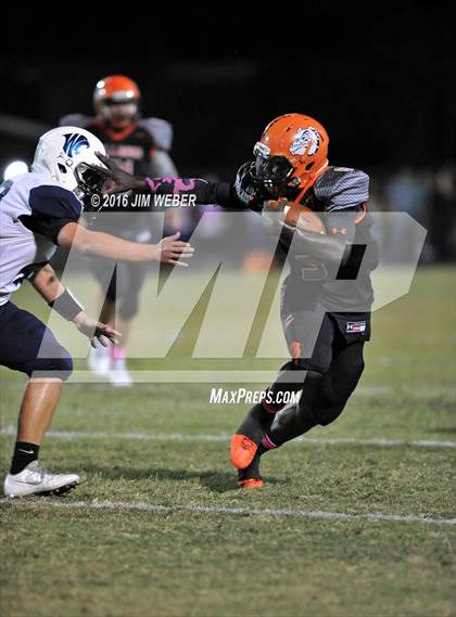Thumbnail 1 in Wesley Chapel @ Zephyrhills photogallery.