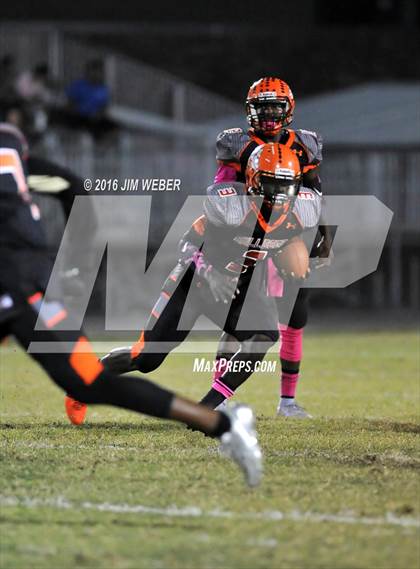 Thumbnail 3 in Wesley Chapel @ Zephyrhills photogallery.