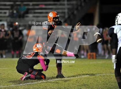 Thumbnail 3 in Wesley Chapel @ Zephyrhills photogallery.