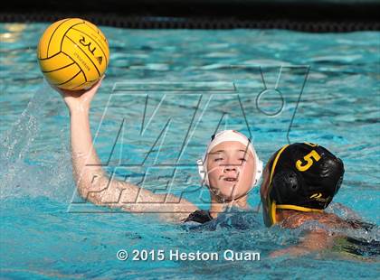 Thumbnail 1 in Canyon vs Peninsula (TYR Cup) photogallery.