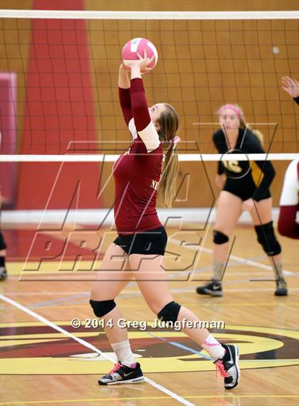 Thumbnail 3 in Windsor @ Cardinal Newman photogallery.