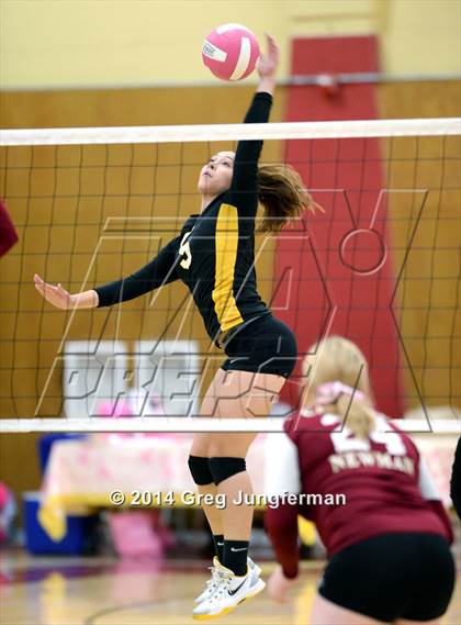 Thumbnail 3 in Windsor @ Cardinal Newman photogallery.
