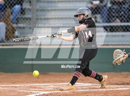 Thumbnail 3 in Churchill vs Johnson photogallery.