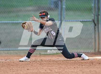 Thumbnail 1 in Churchill vs Johnson photogallery.