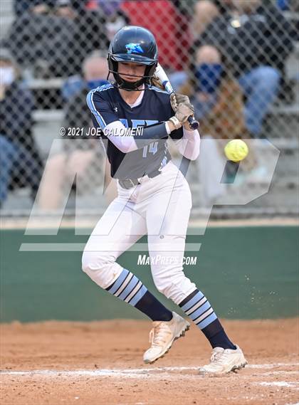 Thumbnail 1 in Churchill vs Johnson photogallery.