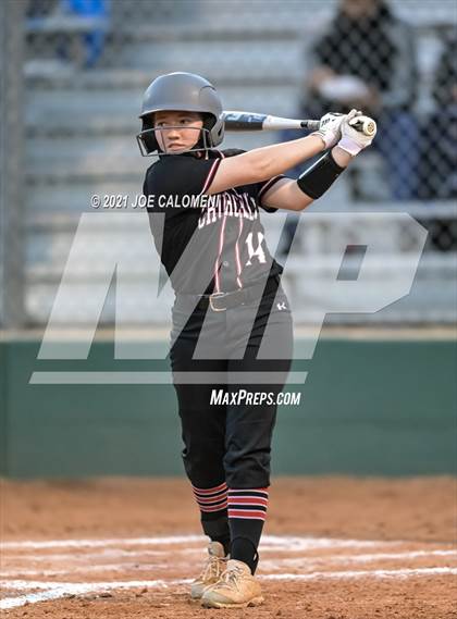 Thumbnail 3 in Churchill vs Johnson photogallery.