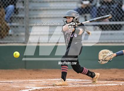 Thumbnail 1 in Churchill vs Johnson photogallery.