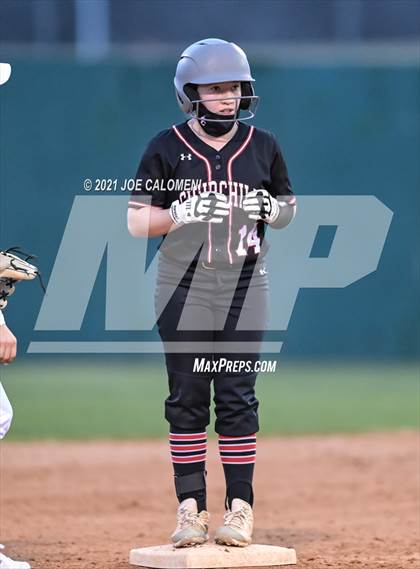 Thumbnail 3 in Churchill vs Johnson photogallery.