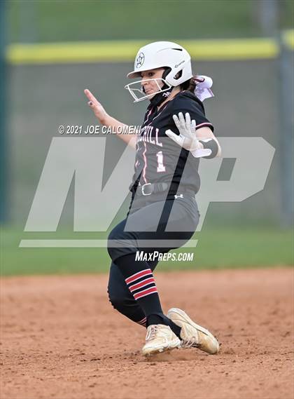 Thumbnail 1 in Churchill vs Johnson photogallery.