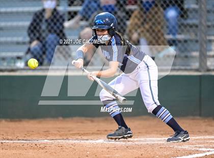 Thumbnail 1 in Churchill vs Johnson photogallery.