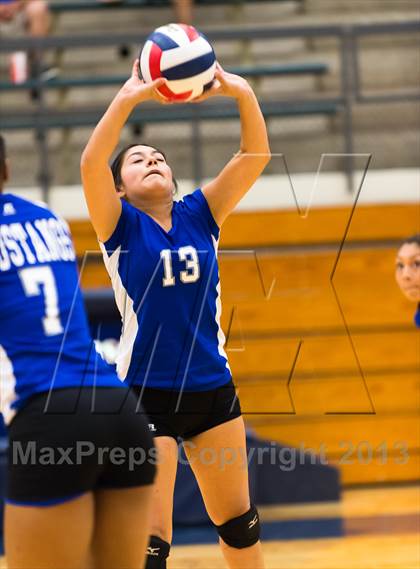 Thumbnail 1 in Brandeis vs.  Jay [John] photogallery.