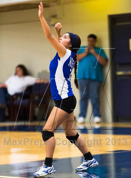 Thumbnail 2 in Brandeis vs.  Jay [John] photogallery.