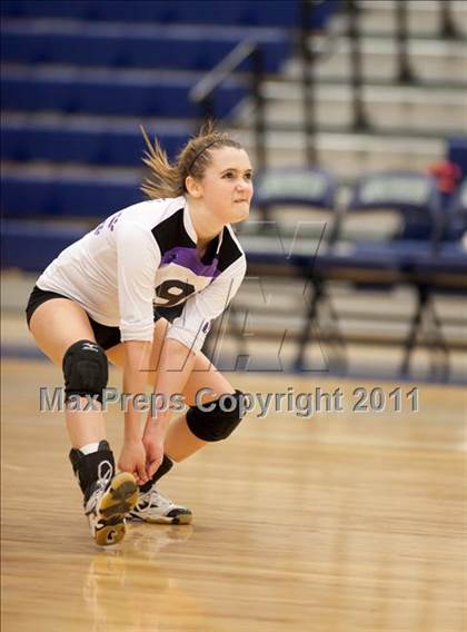 Thumbnail 3 in Potomac Falls @ Woodgrove photogallery.
