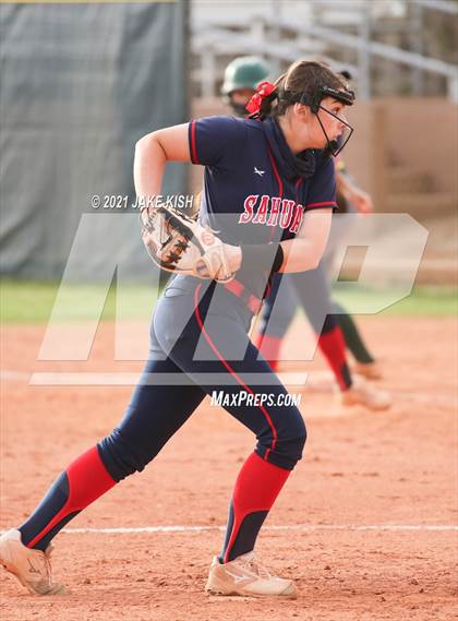 Thumbnail 1 in Sahuaro @ Canyon del Oro photogallery.