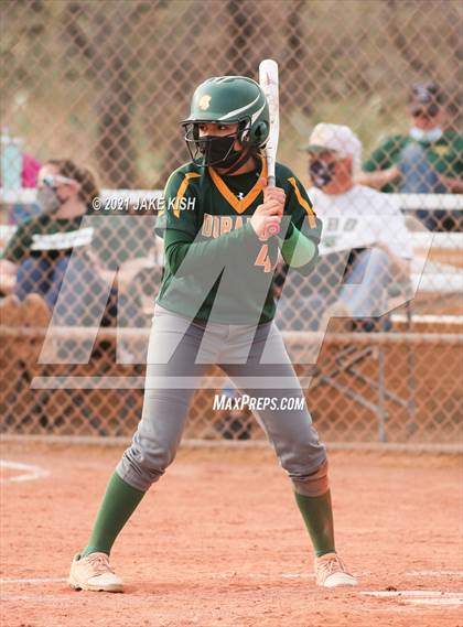 Thumbnail 1 in Sahuaro @ Canyon del Oro photogallery.