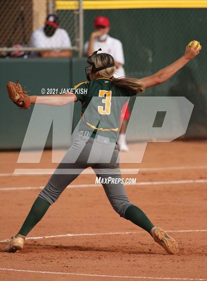 Thumbnail 1 in Sahuaro @ Canyon del Oro photogallery.