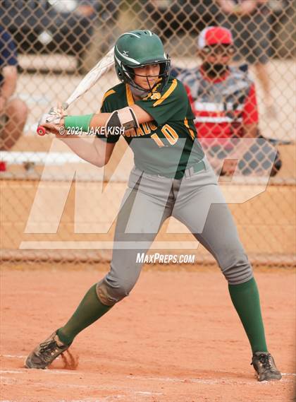 Thumbnail 1 in Sahuaro @ Canyon del Oro photogallery.