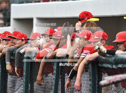 Thumbnail 2 in Tinley Park @ Joliet Catholic (IHSA 3A Sectional Semifinal) photogallery.