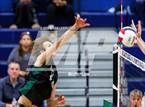Photo from the gallery "Mountain Vista vs. Littleton Public Schools (CHSAA 5A Round 2)"