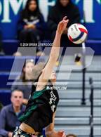 Photo from the gallery "Mountain Vista vs. Littleton Public Schools (CHSAA 5A Round 2)"