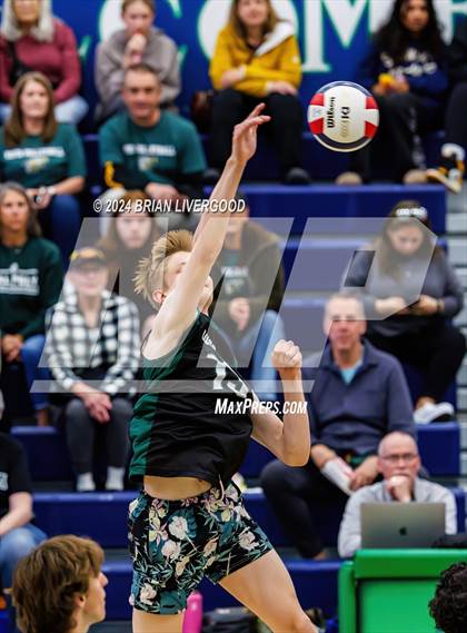 Thumbnail 1 in Mountain Vista vs. Littleton Public Schools (CHSAA 5A Round 2) photogallery.