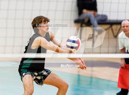 Thumbnail 3 in Mountain Vista vs. Littleton Public Schools (CHSAA 5A Round 2) photogallery.