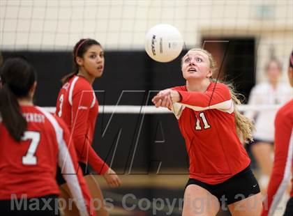 Thumbnail 1 in Mullen @ Eaglecrest photogallery.