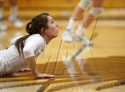 Thumbnail 2 in Mullen @ Eaglecrest photogallery.