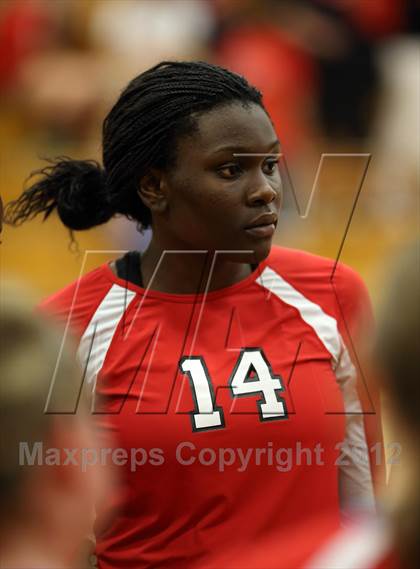Thumbnail 1 in Mullen @ Eaglecrest photogallery.