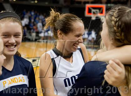 Thumbnail 2 in Highlands vs Notre Dame (KHSAA Ninth Region Final) photogallery.