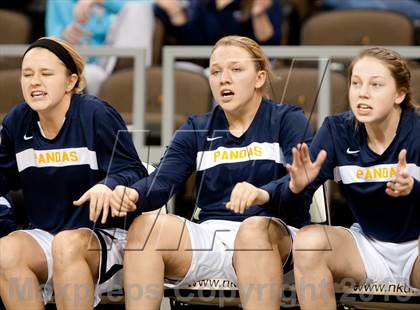 Thumbnail 3 in Highlands vs Notre Dame (KHSAA Ninth Region Final) photogallery.