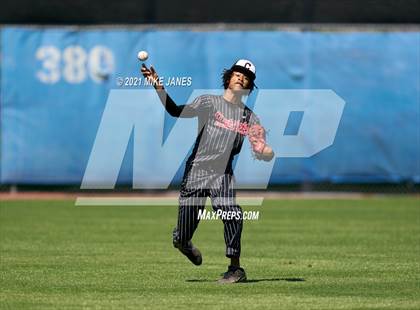 Thumbnail 3 in Carrollwood Day @ IMG Academy Blue photogallery.