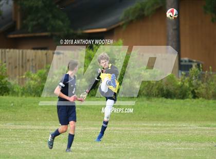 Thumbnail 1 in Berean Baptist Academy @ Northwood Temple Academy photogallery.