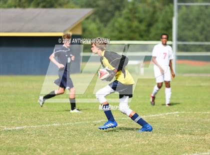 Thumbnail 2 in Berean Baptist Academy @ Northwood Temple Academy photogallery.