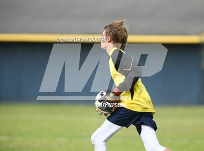 Thumbnail 1 in Berean Baptist Academy @ Northwood Temple Academy photogallery.