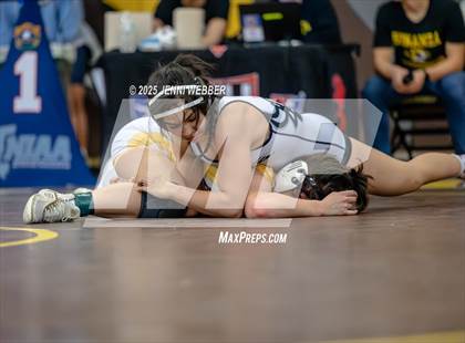 Thumbnail 3 in NIAA All Girls Southern Region Wrestling Final photogallery.
