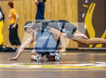 Thumbnail 2 in NIAA All Girls Southern Region Wrestling Final photogallery.