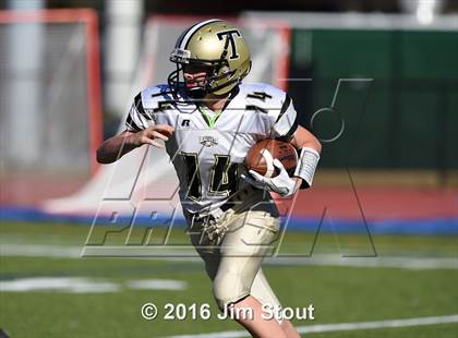 Thumbnail 3 in Trumbull @ Ludlowe photogallery.