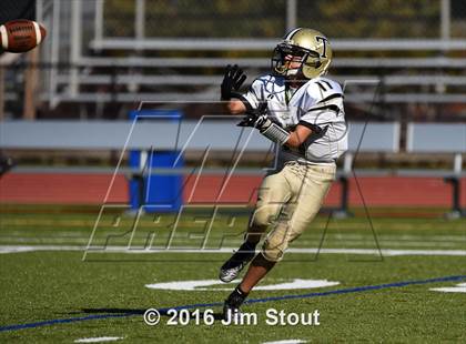 Thumbnail 3 in Trumbull @ Ludlowe photogallery.
