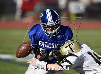 Thumbnail 3 in Trumbull @ Ludlowe photogallery.